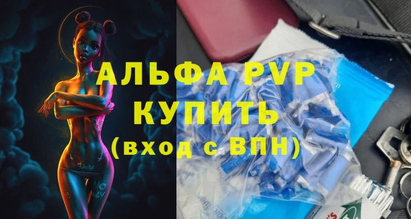 спиды Михайлов