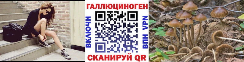 Купить где  Луза  Псилоцибиновые грибы MAGIC MUSHROOMS 