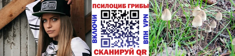Псилоцибиновые грибы Psilocybine cubensis Луза